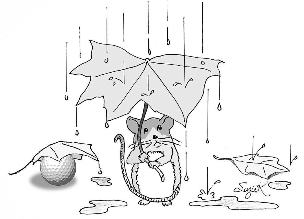 Bridgton Highlands Ladies Golf